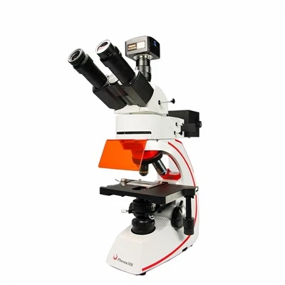 Mikroskopju ta' Fluworexxenza Multi-Filtru